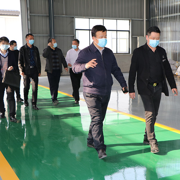 漢川市人大常委會主任黃漢橋，廟頭鎮(zhèn)黨委書記等一行到湖北睿智調(diào)研、指導工作